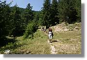 Bulgaria_1461.jpg