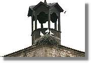 Bulgaria_1472.jpg