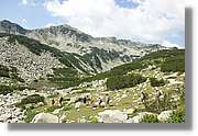 Bulgaria_1544.jpg