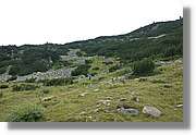 Bulgaria_1593.jpg