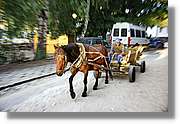 Bulgaria_1621.jpg