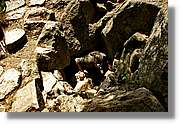 Bulgaria_1657.jpg