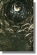 Bulgaria_1720.jpg