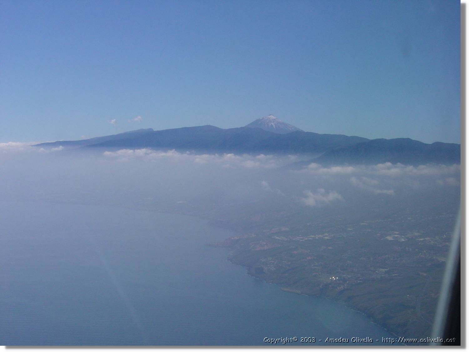 Canaries_05.jpg
