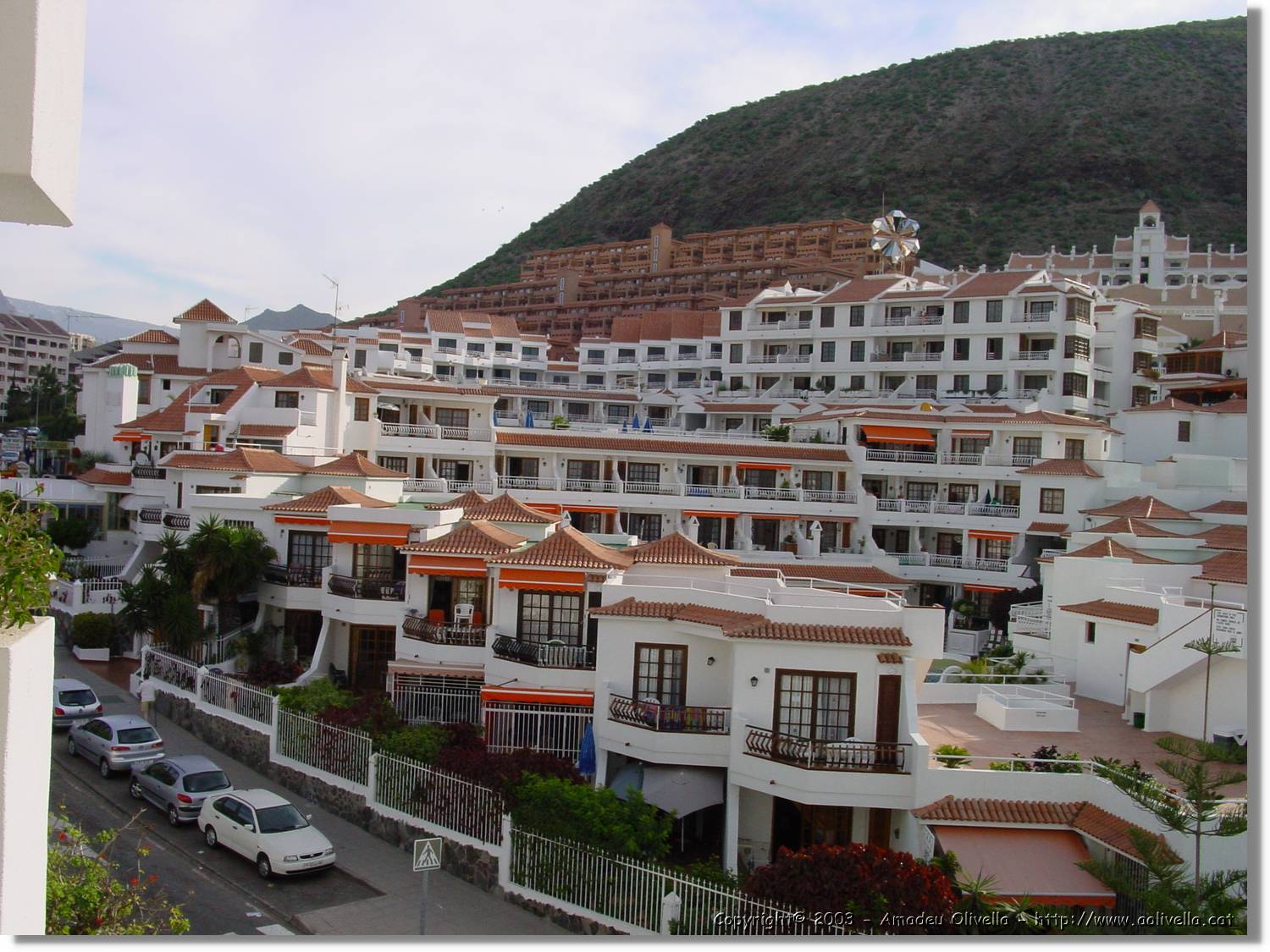 Canaries_07.jpg