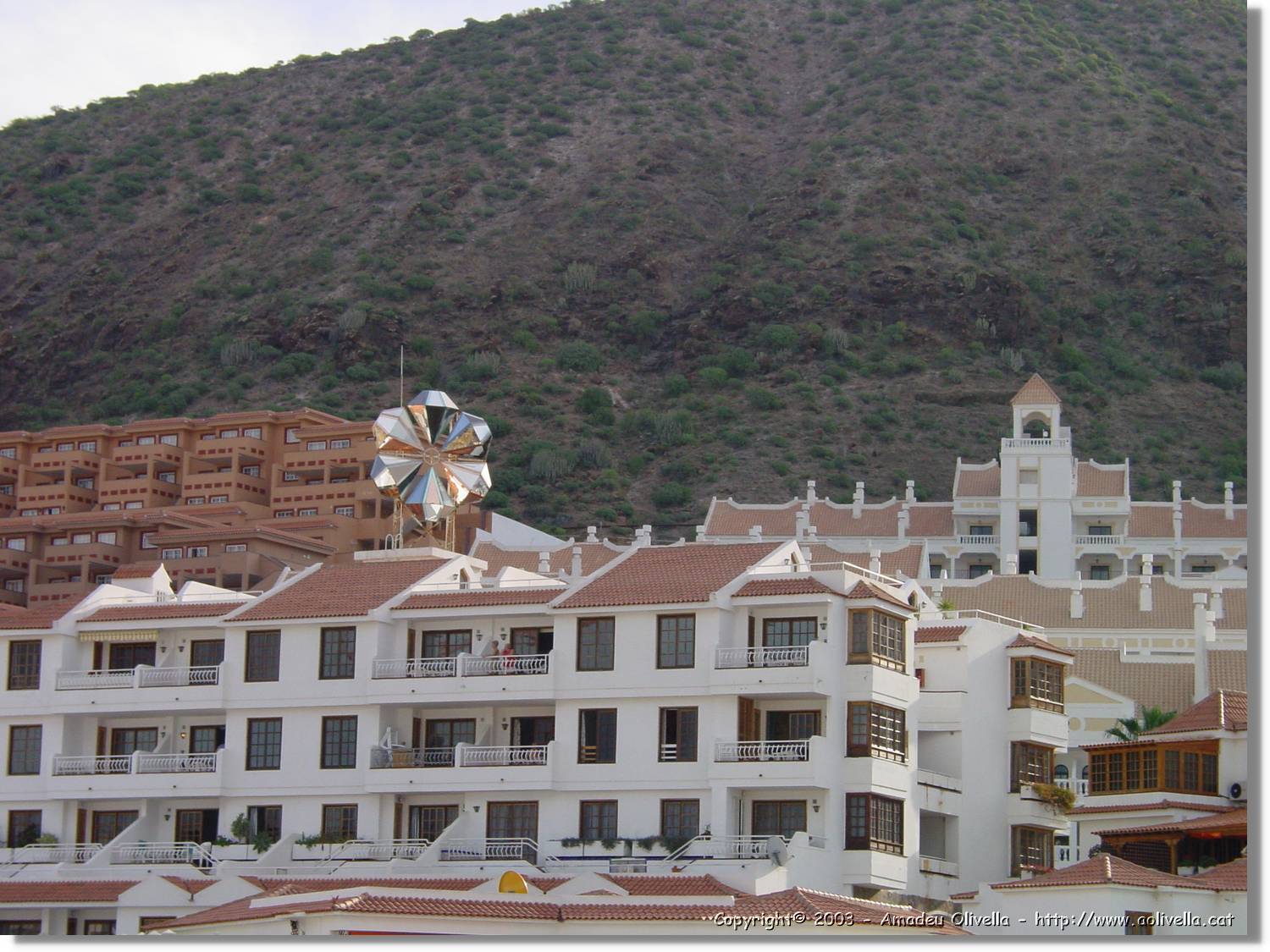 Canaries_09.jpg