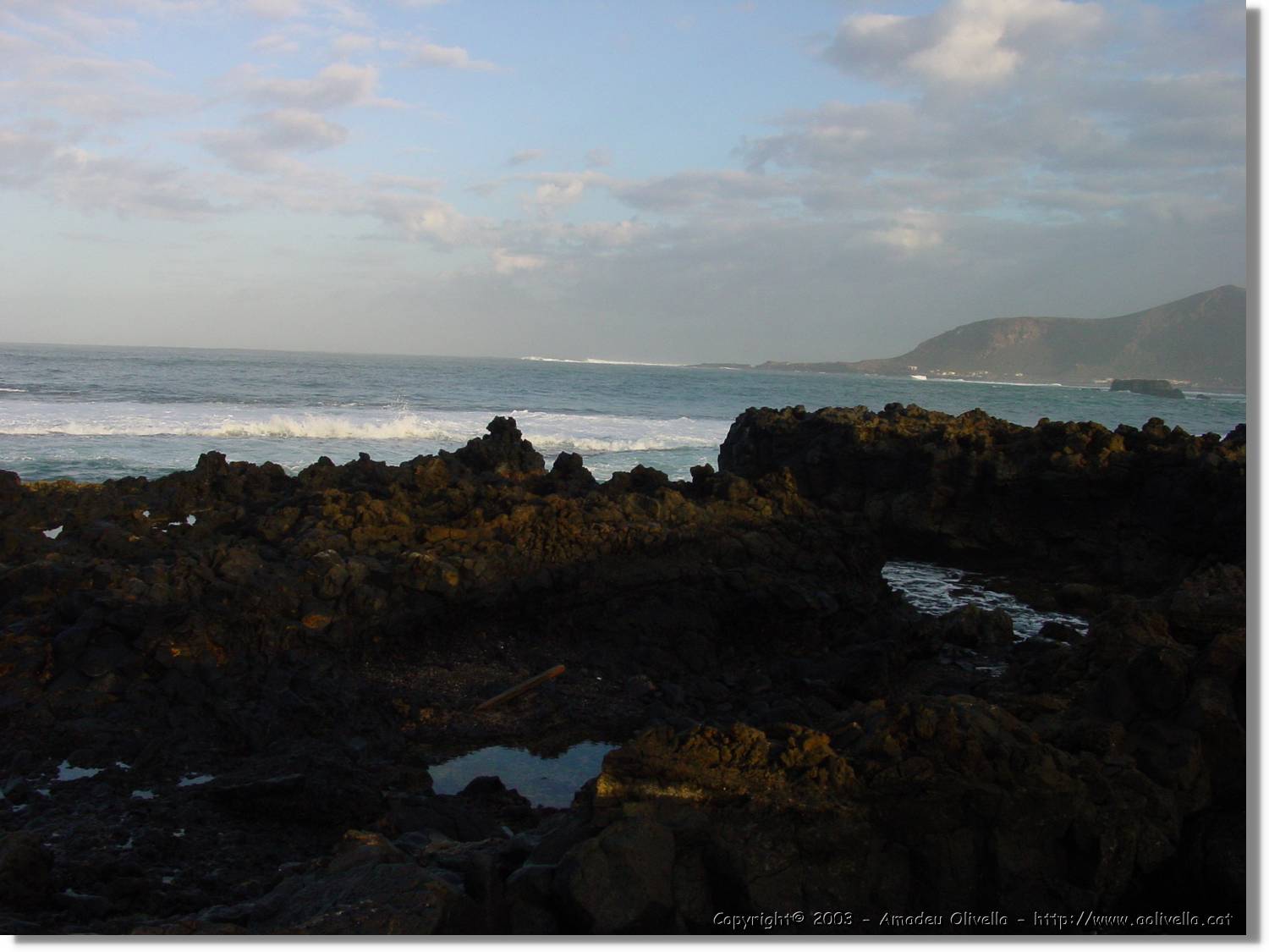 Canaries_34.jpg