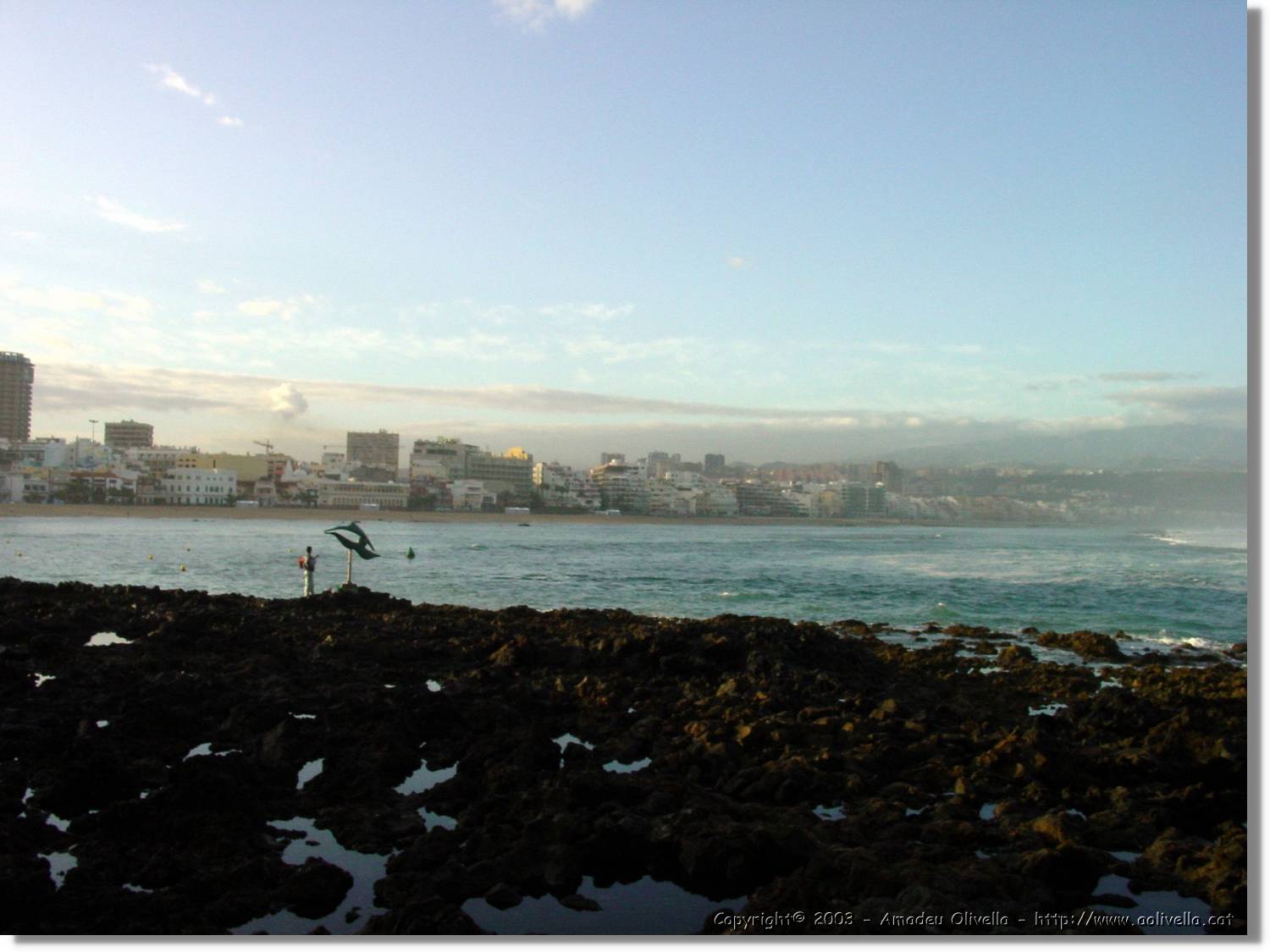 Canaries_35.jpg
