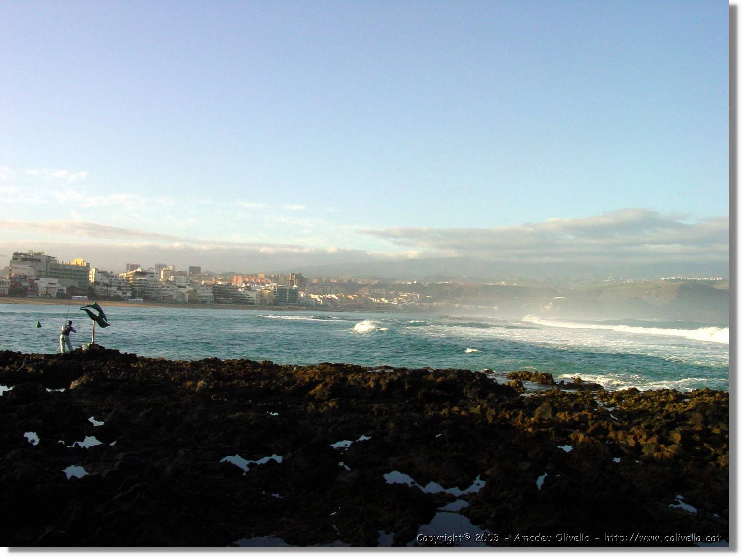 Canaries_38.jpg