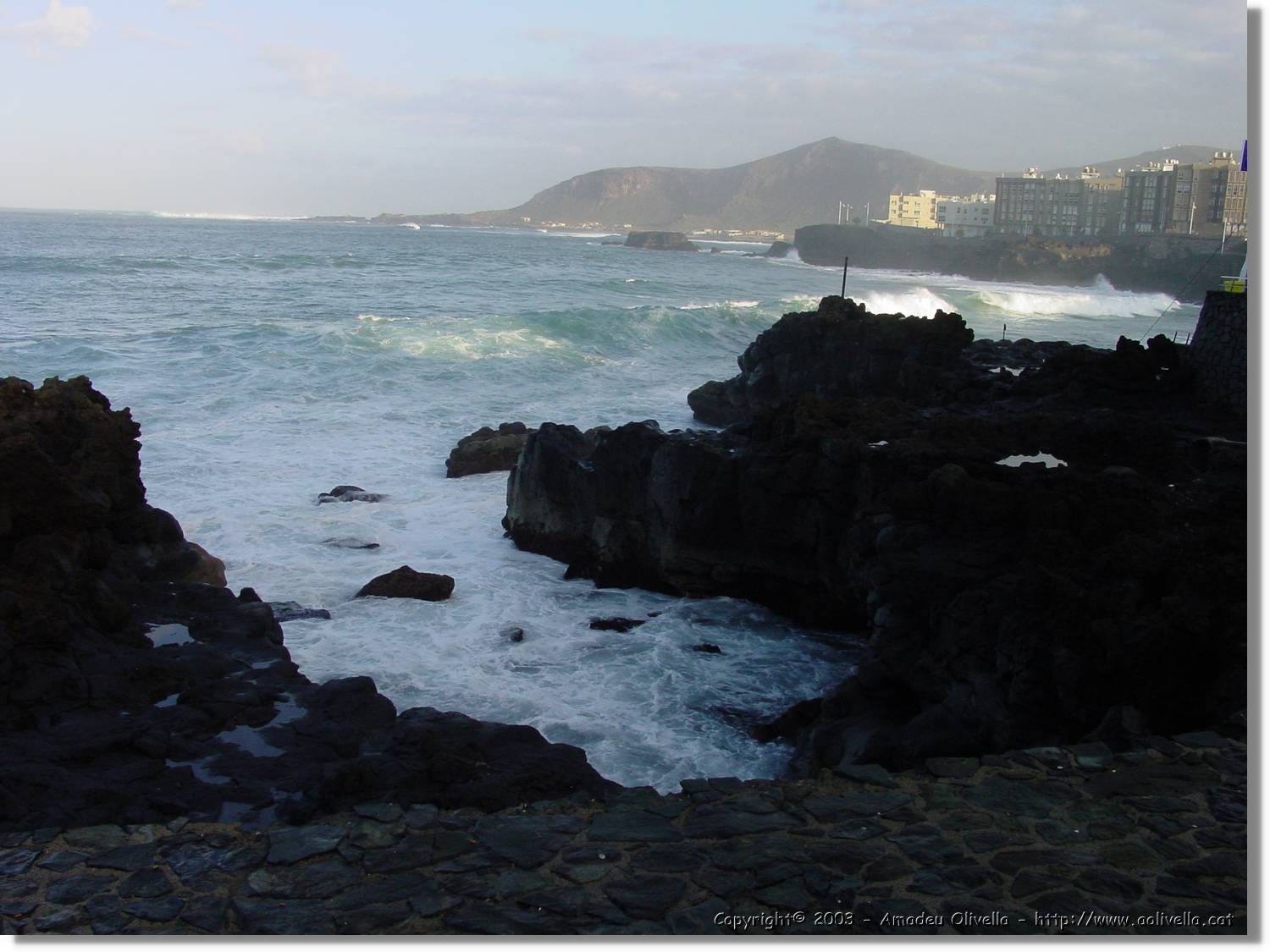 Canaries_51.jpg