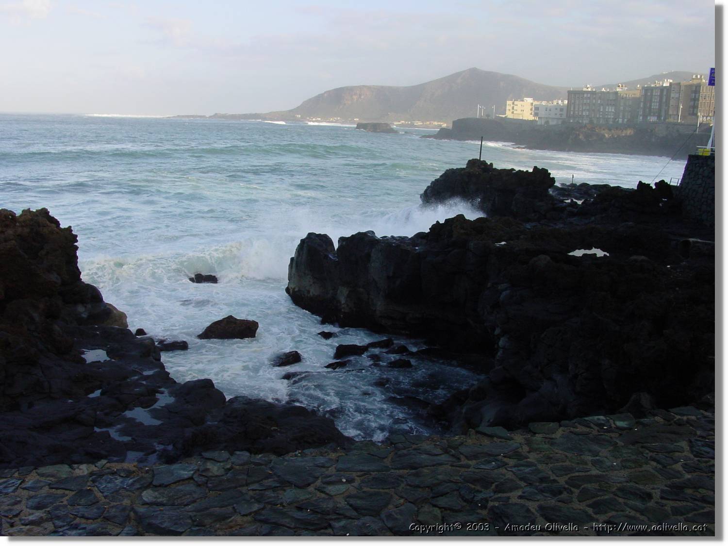 Canaries_52.jpg