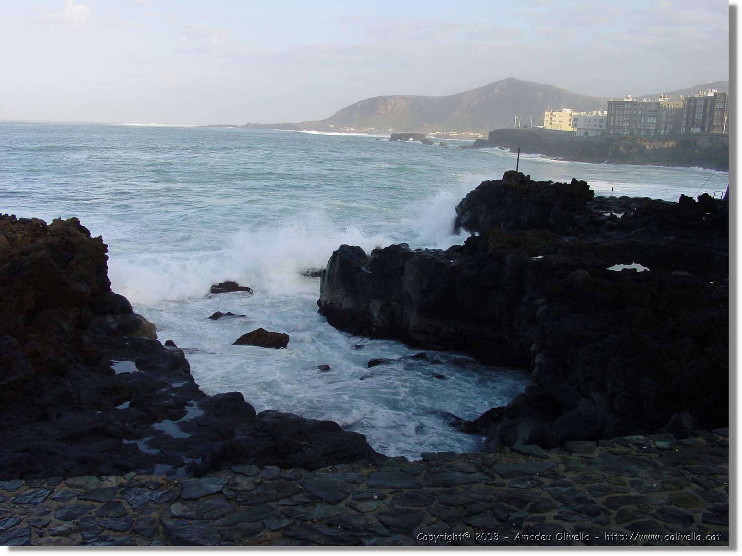 Canaries_53.jpg