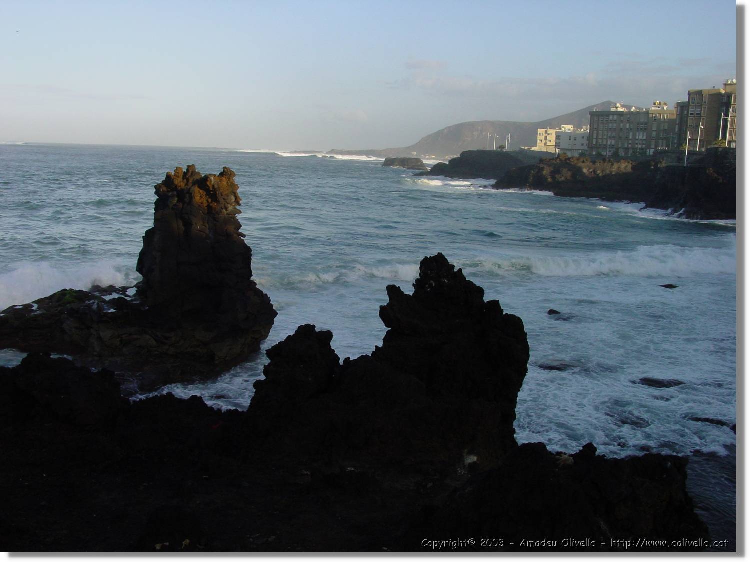 Canaries_58.jpg