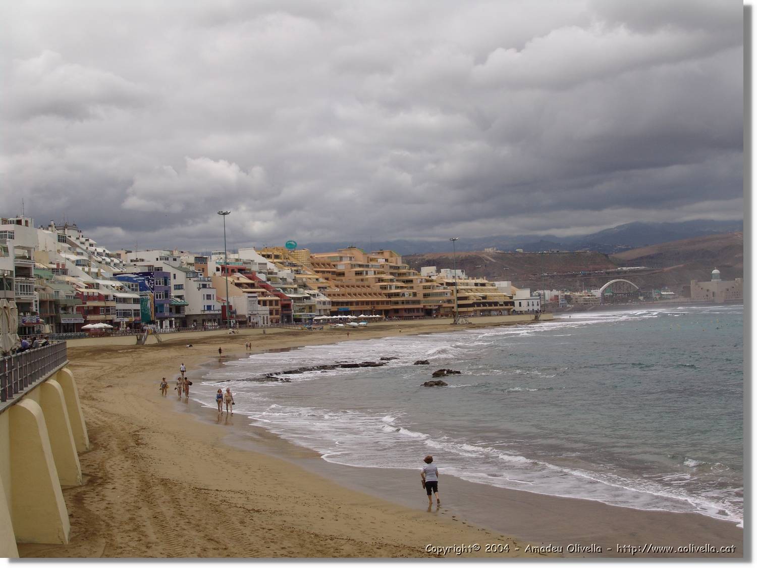 Canaries_001.jpg