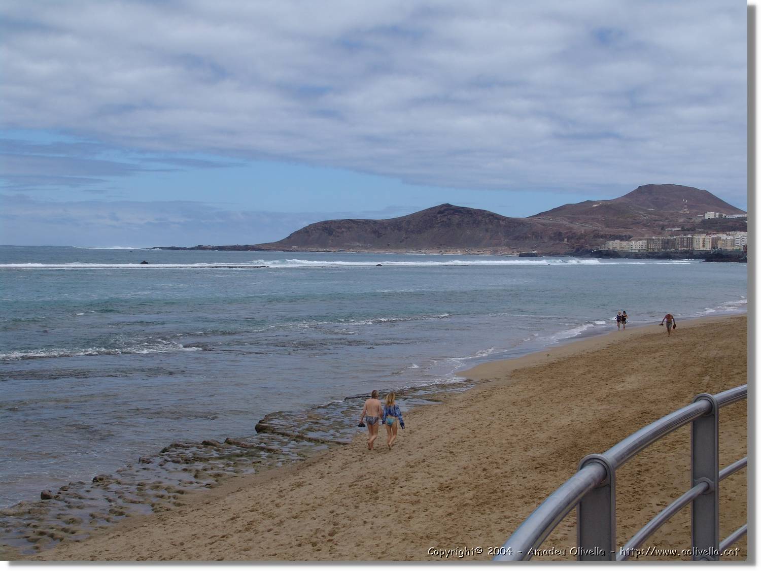 Canaries_005.jpg