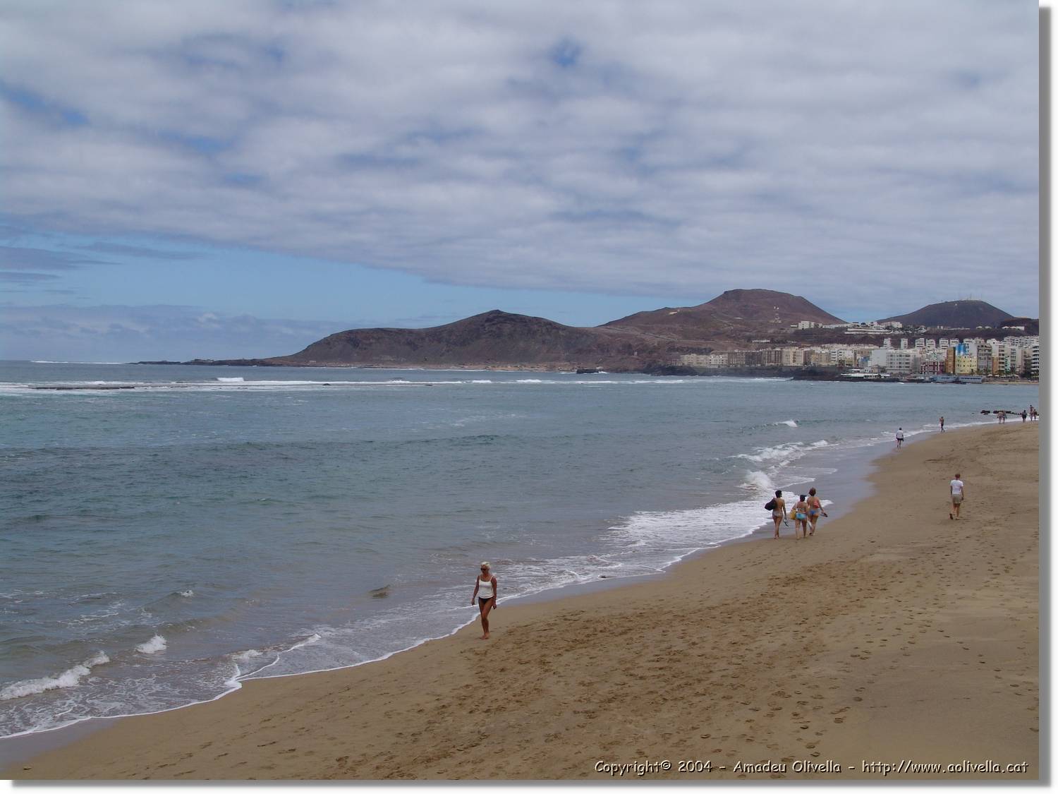 Canaries_010.jpg
