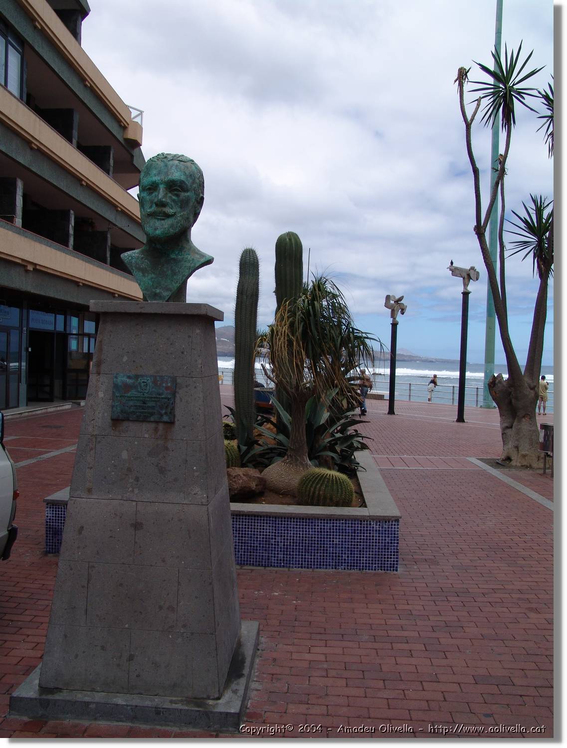 Canaries_011.jpg