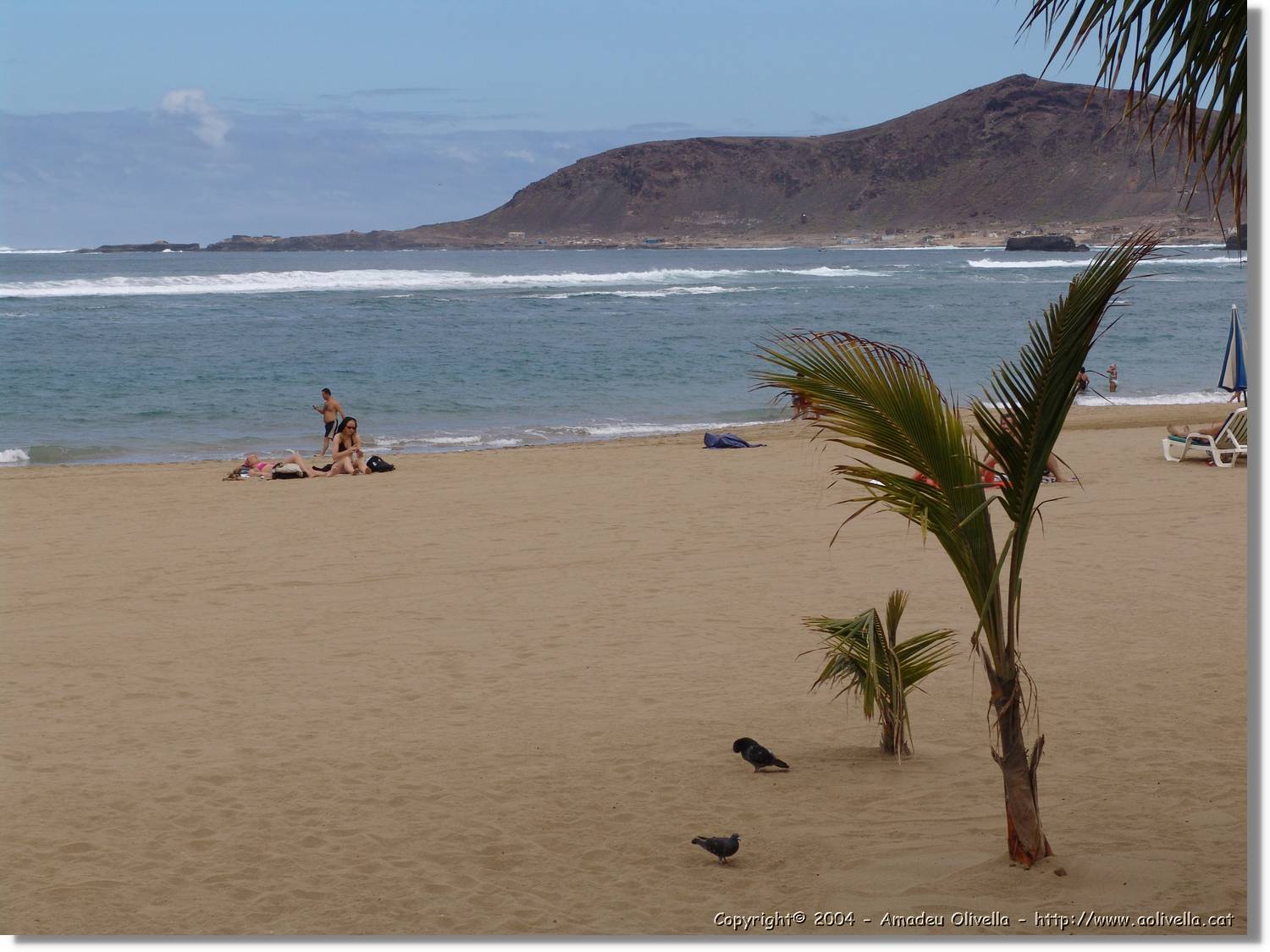 Canaries_014.jpg