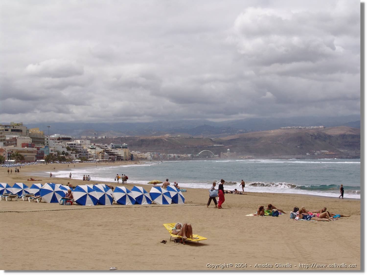 Canaries_016.jpg