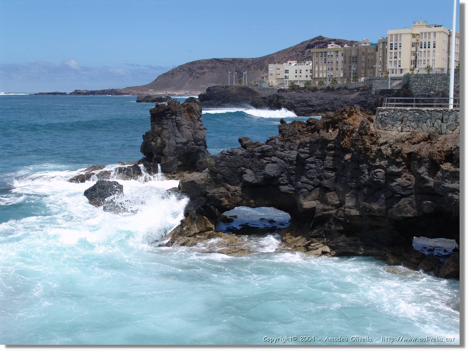 Canaries_018.jpg