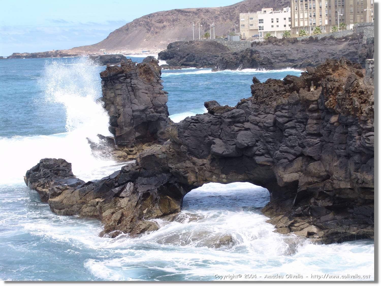 Canaries_020.jpg