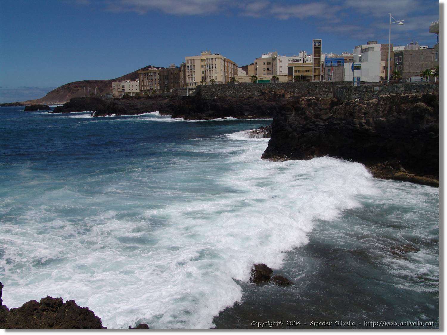 Canaries_022.jpg