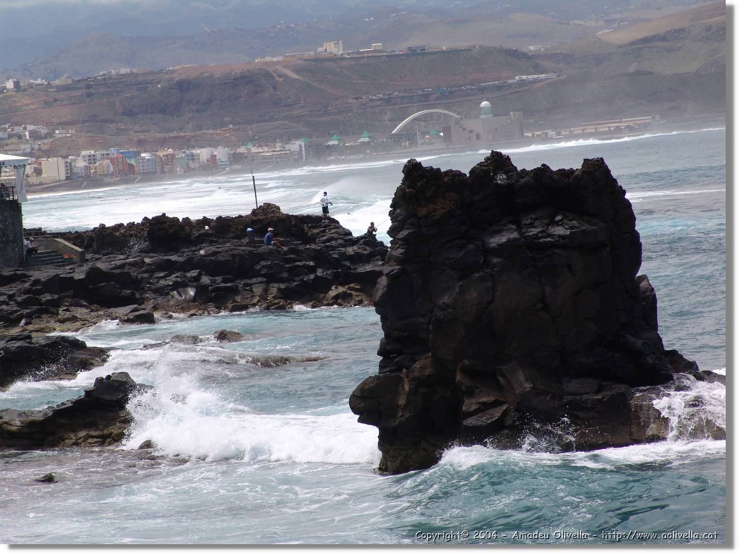 Canaries_026.jpg