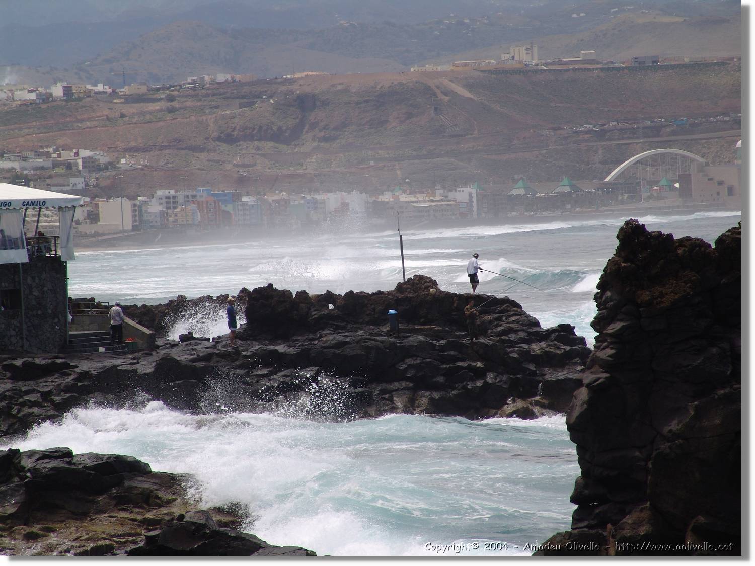 Canaries_029.jpg