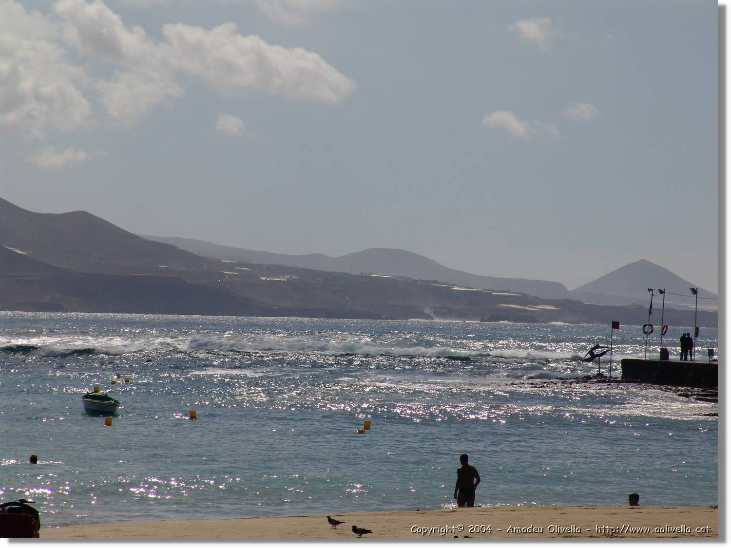 Canaries_031.jpg