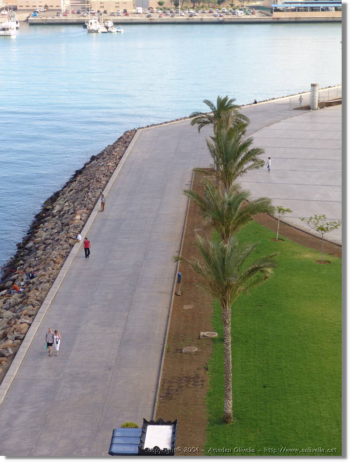 Canaries_040.jpg