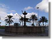 Canaries_057.jpg