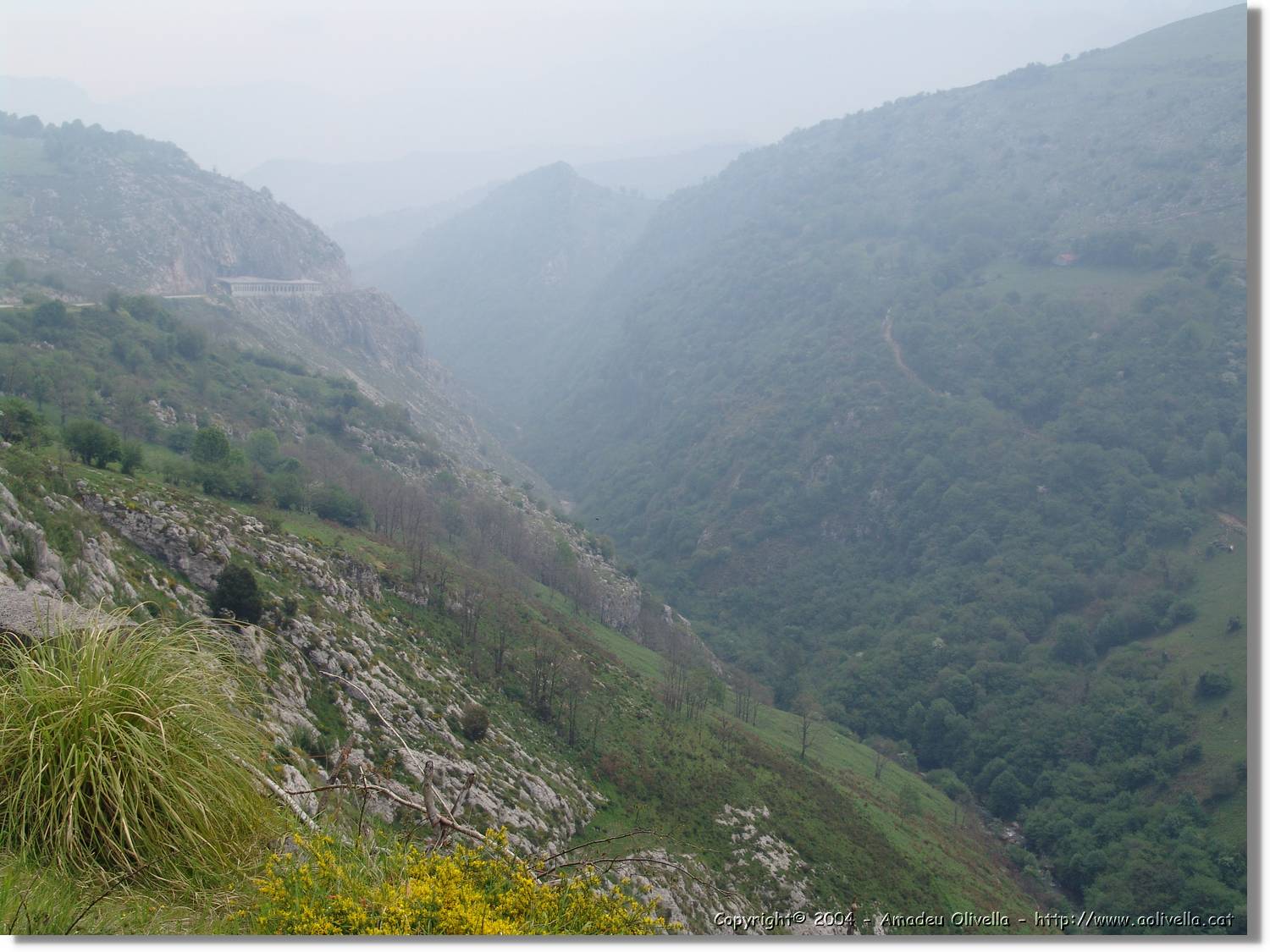 CantAstur_100.jpg