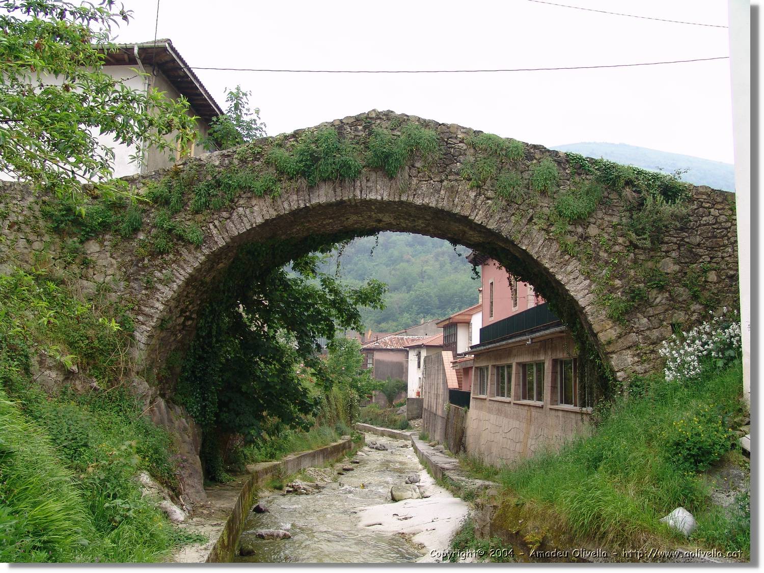 CantAstur_114.jpg