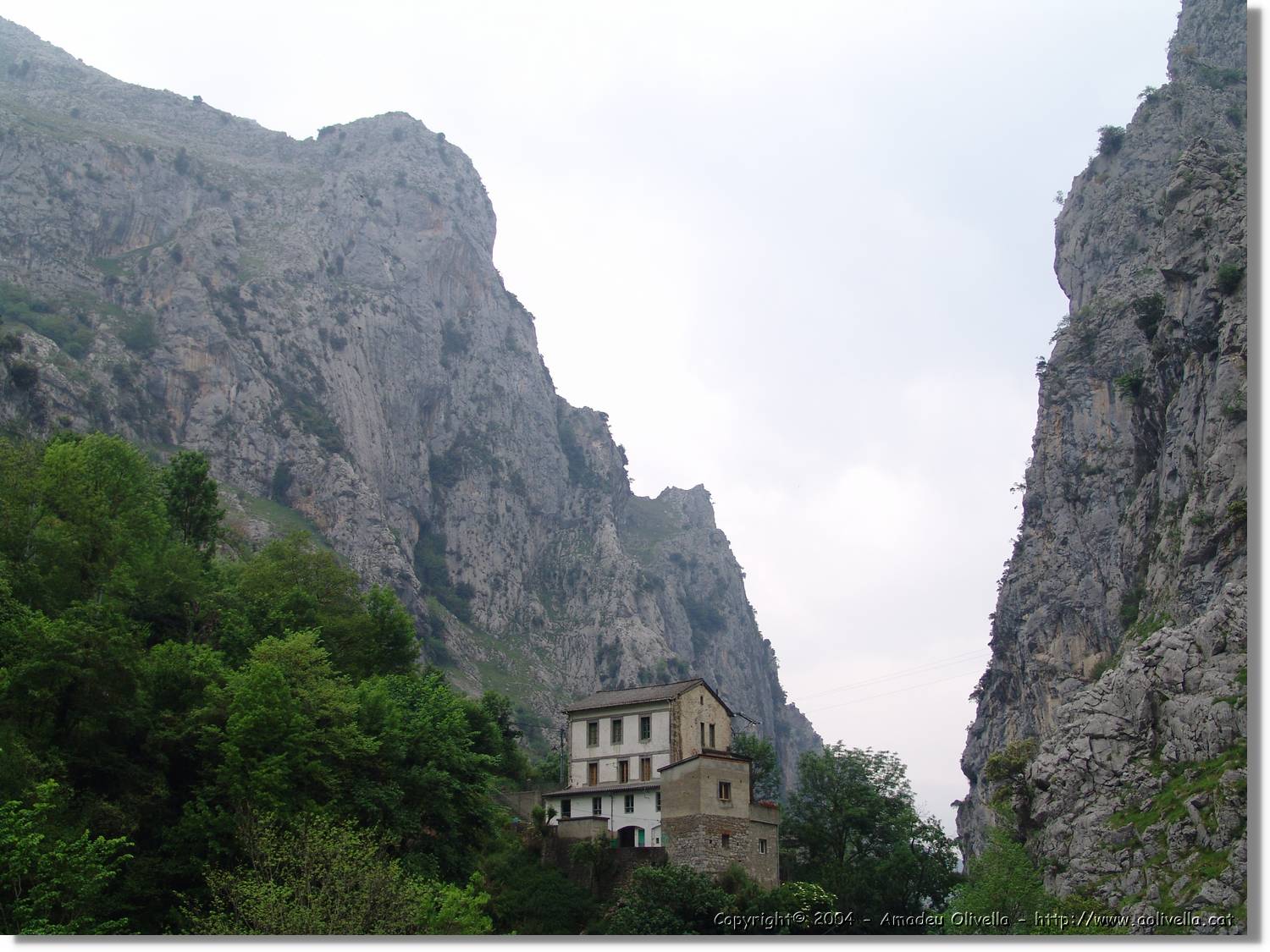CantAstur_122.jpg