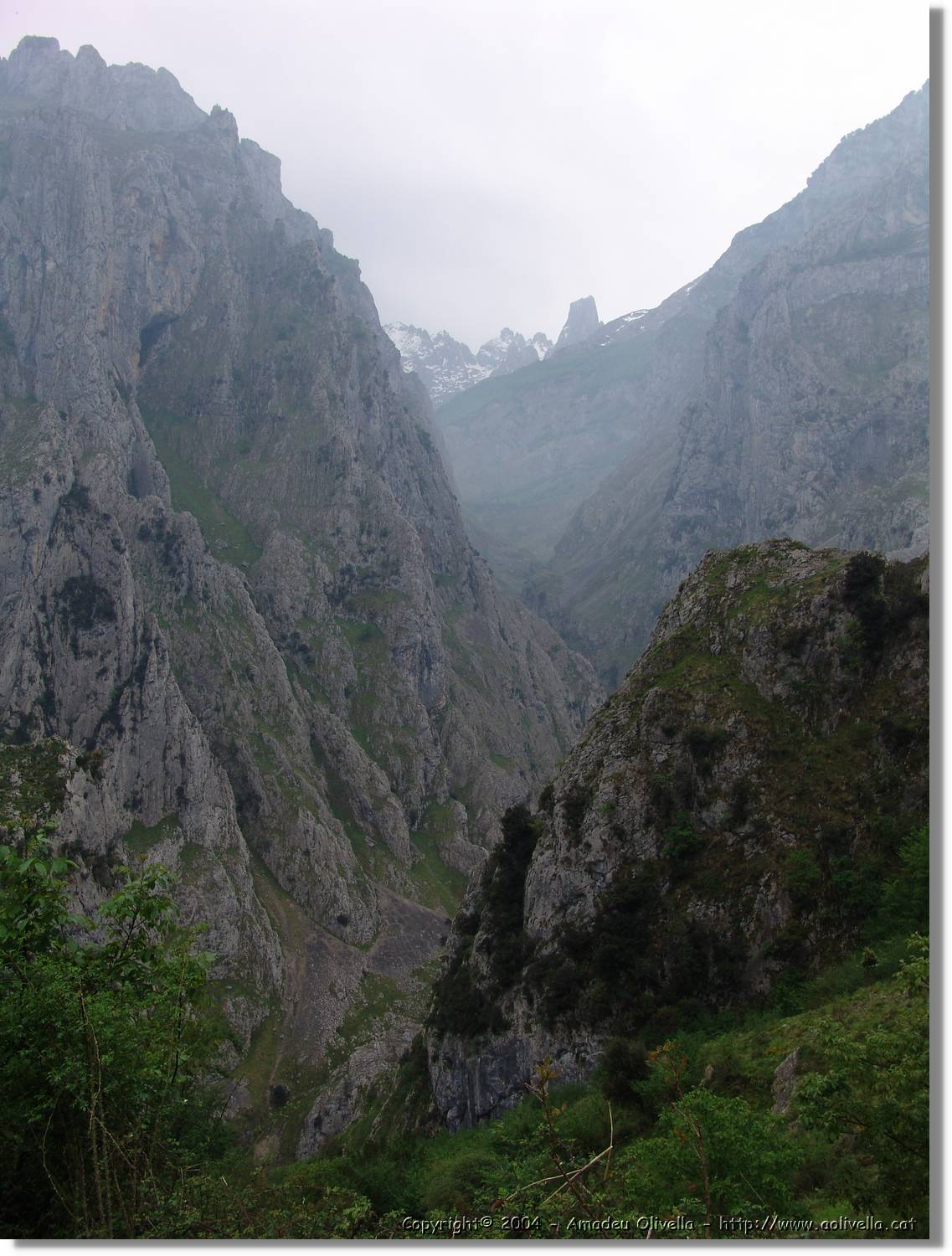 CantAstur_132.jpg