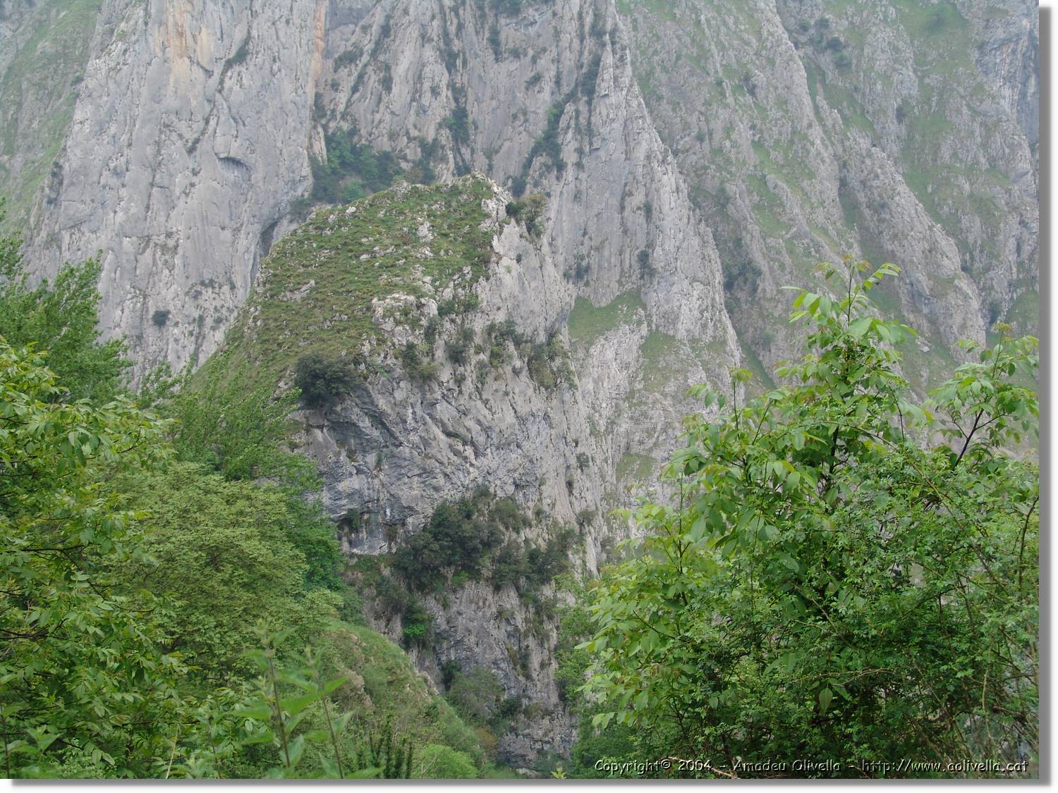 CantAstur_134.jpg