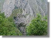 CantAstur_134.jpg