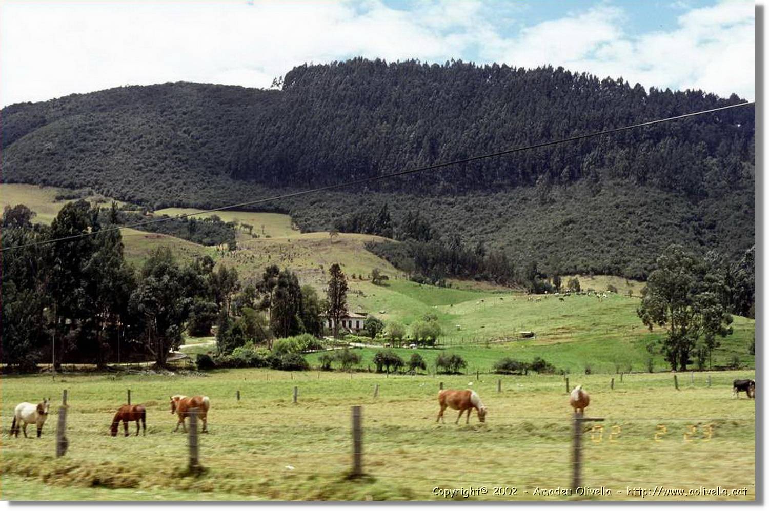 Colombia_061.jpg