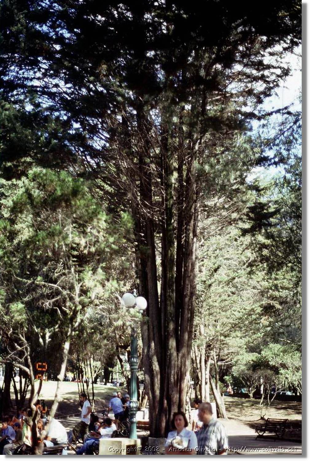Colombia_199.jpg