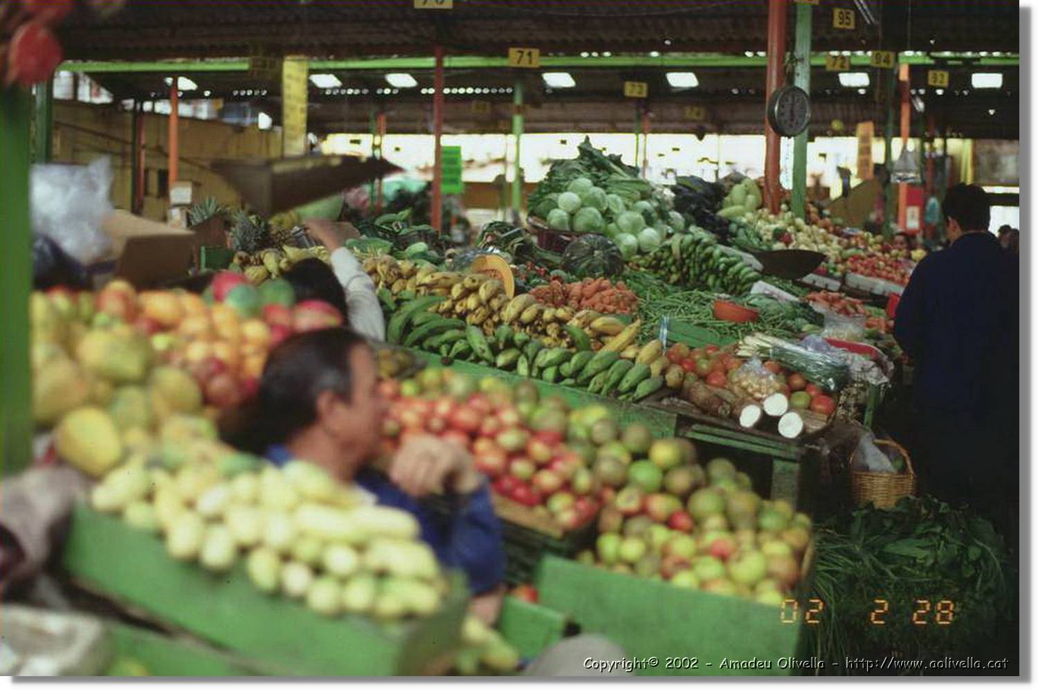 Colombia_237.jpg