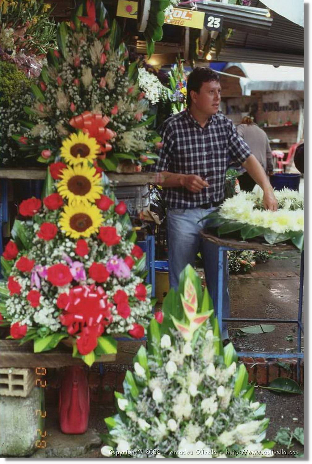 Colombia_260.jpg