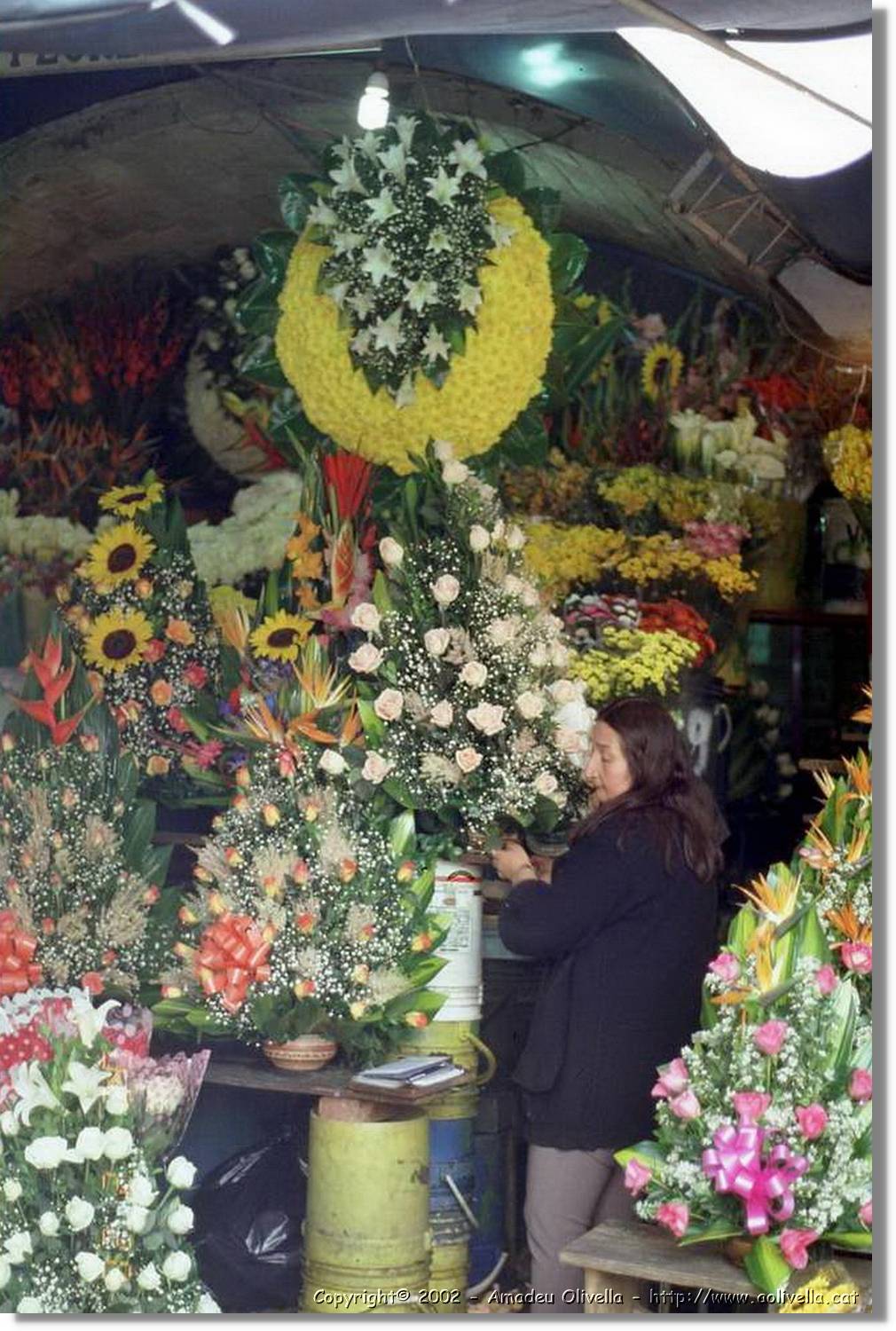 Colombia_262.jpg