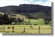 Colombia_061.jpg