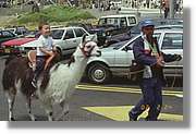 Colombia_147.jpg
