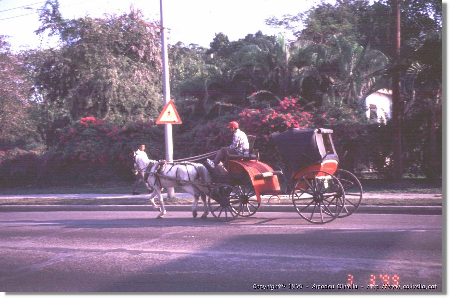 Cuba_110.jpg