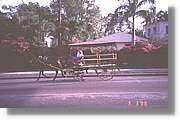 Cuba_105.jpg