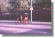 Cuba_109.jpg