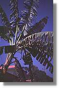 Cuba_121.jpg