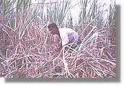 Cuba_148.jpg