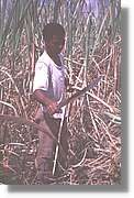 Cuba_149.jpg